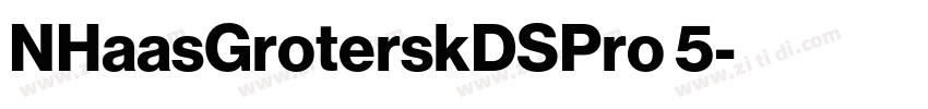 NHaasGroterskDSPro 5字体转换 NHaasGroterskDSPro 5字体转换